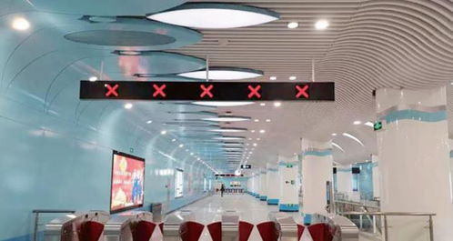 創(chuàng)新技術(shù)，產(chǎn)品為王——對(duì)話深圳茂碩電子科技總經(jīng)理謝擁軍